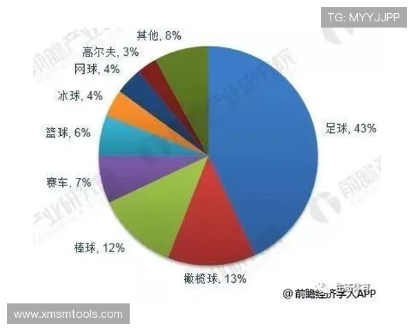 足球明星表现与市场价值综合分析图表解读 足球明星表现与市场价值综合分析图表解读