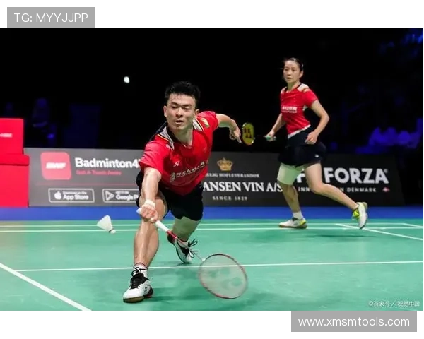 武汉羽毛球队节奏对比深度解析与战术演变探讨